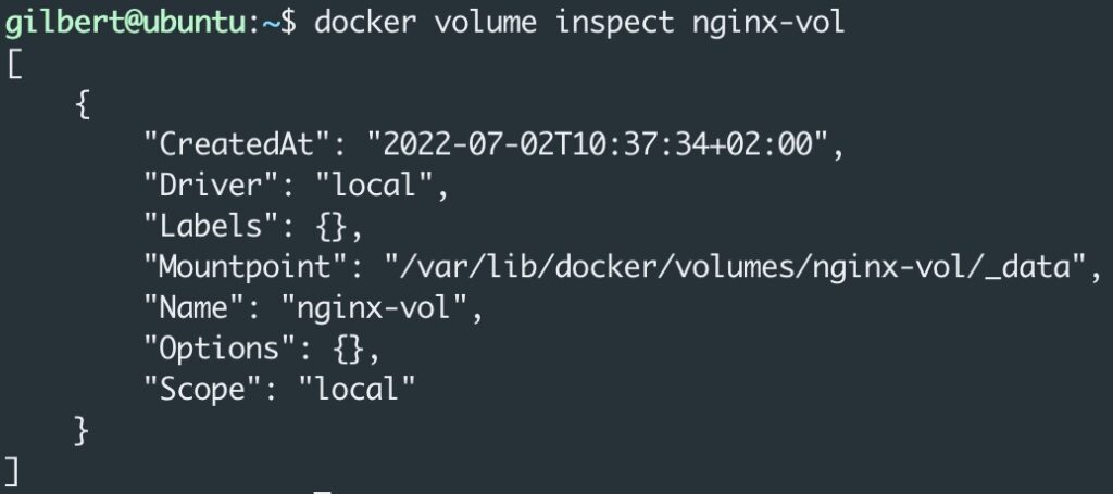 Docker volume inspect